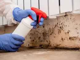 Best HVAC Mold Inspection and Cleaning  in USA